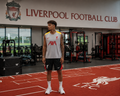 Liverpool 2023-24 Vest Football Kit Grey Black